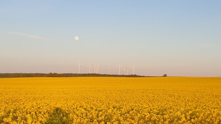 Frühling Impressionen