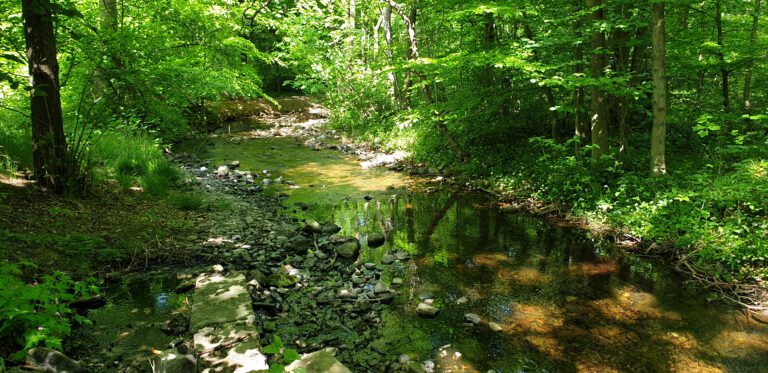 Stapelburg (Grenzland)