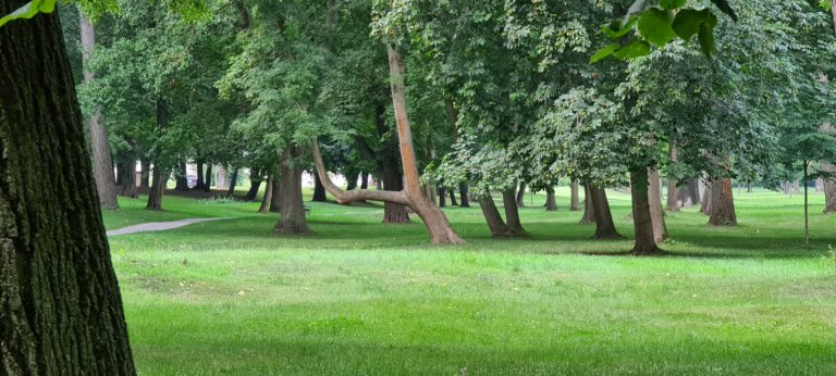 Schlosspark Sondershausen