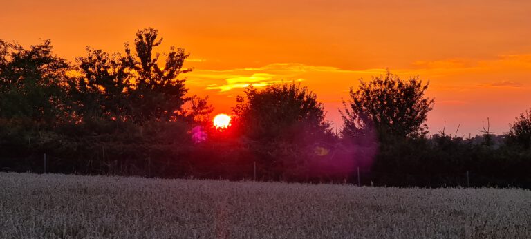 Sonnenuntergänge